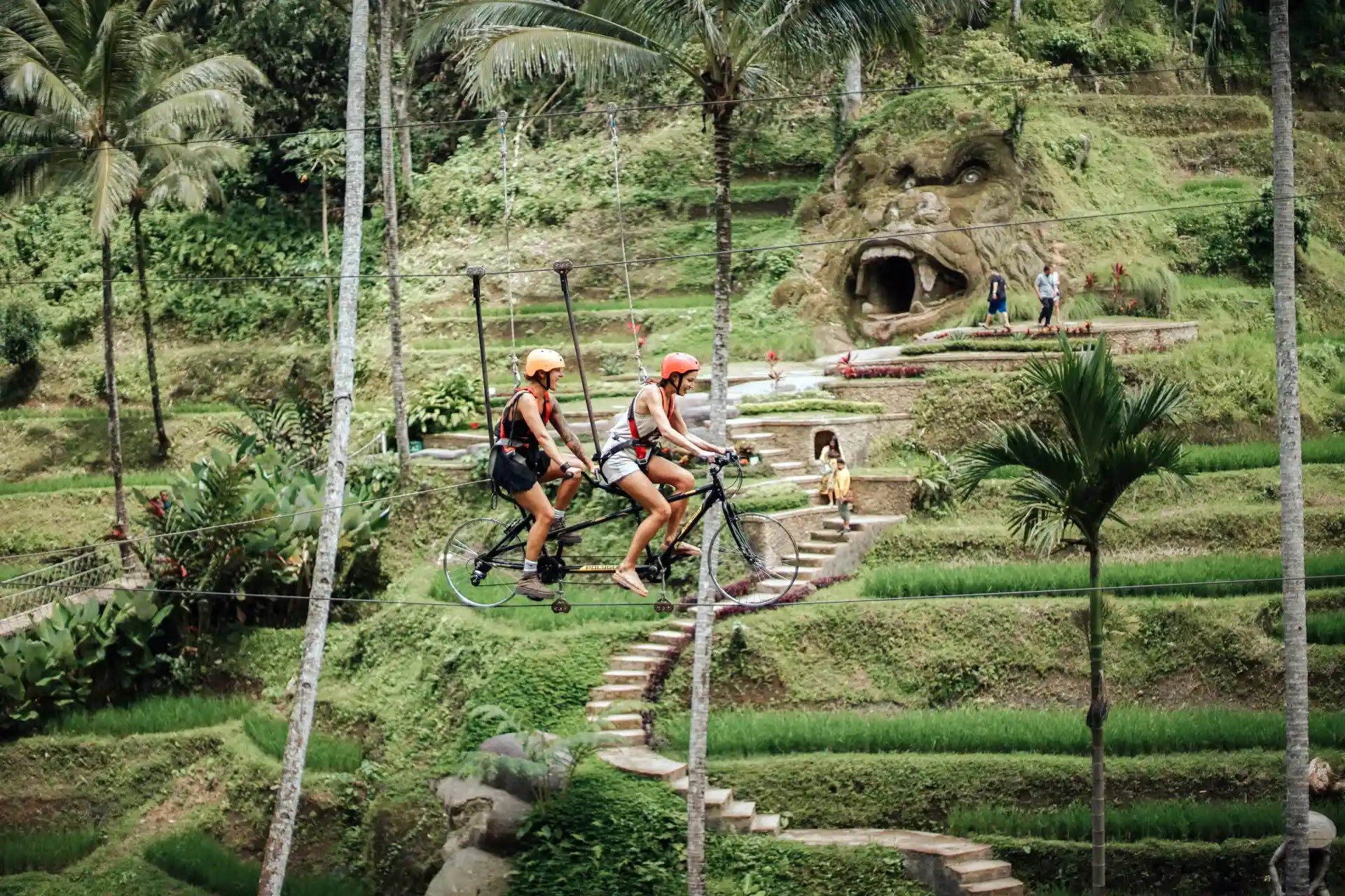 Play ground - Jungle, Nature