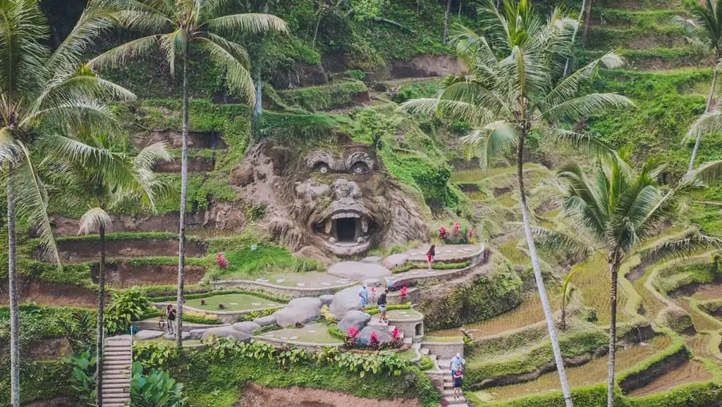 Jungle tour - Nature