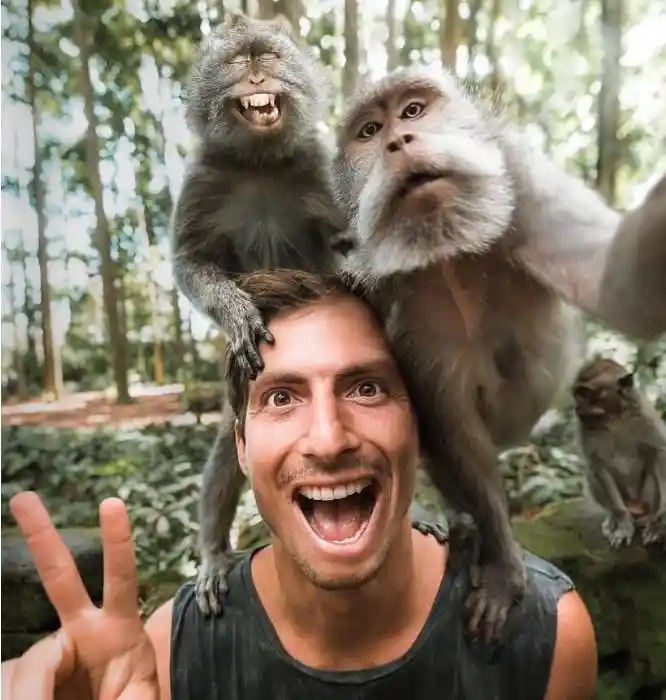 Have fun with monkey - animals, couple, nature